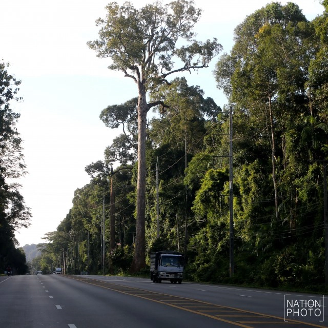 ถนนสายโรแมนติก...@กระบี่