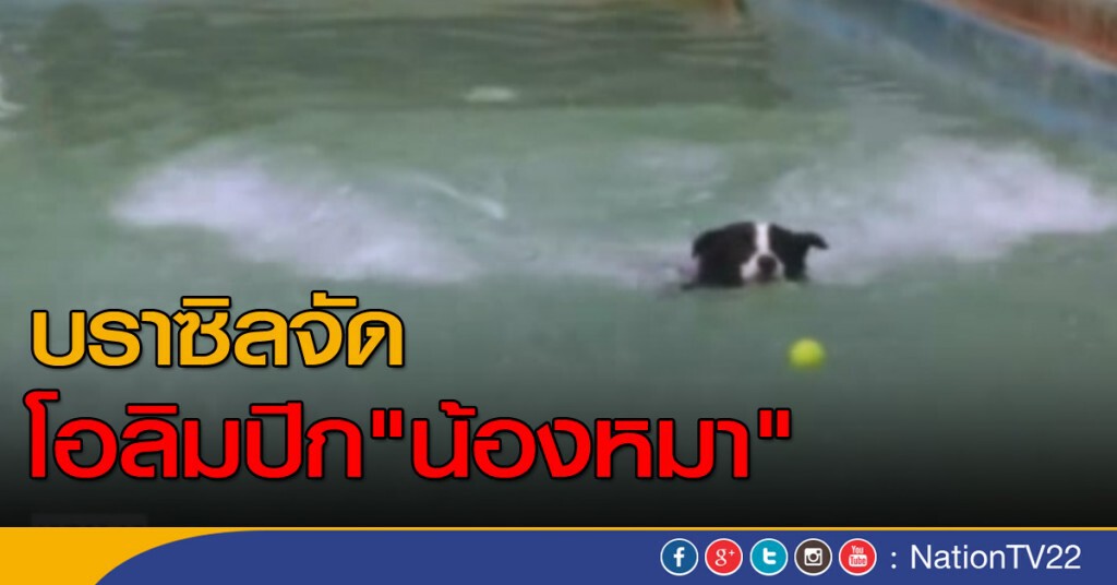 โอลิมปิกสำหรับ "น้องหมา" โอลิมปิกสำหรับ "น้องหมา"