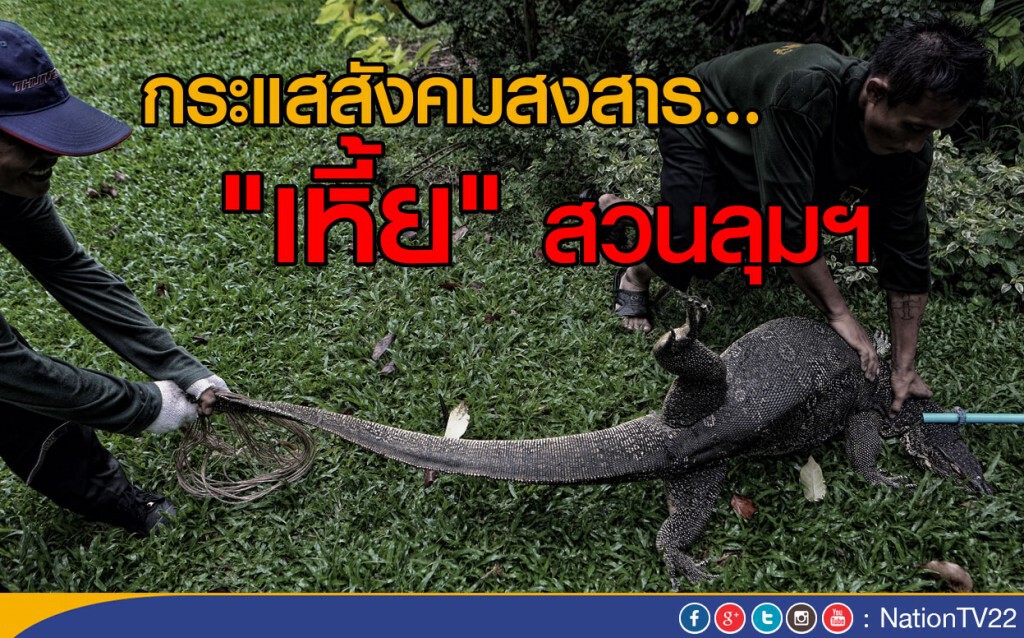 กระแสสังคมสงสาร "ตัวเหี้ย" สวนลุมฯ