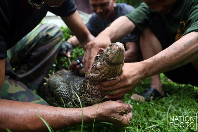 ปฏิบัติการล้างบาง"เหี้ย"
จุดเปลี่ยน"ห่วงโซ่"สวนลุมฯ