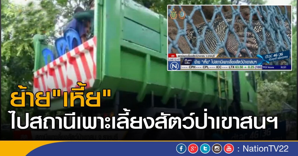 ย้าย "เหี้ย" ไปสถานีเพาะเลี้ยงสัตว์ป่าเขาสนฯ