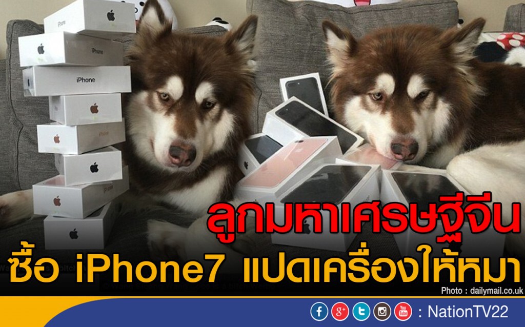 ลูกมหาเศรษฐีจีน ซื้อ  iPhone7 แปดเครื่องให้หมา