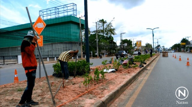 พบพิรุธใช้งบ 8 ล้านปลูกเงาะเกาะกลางถนน