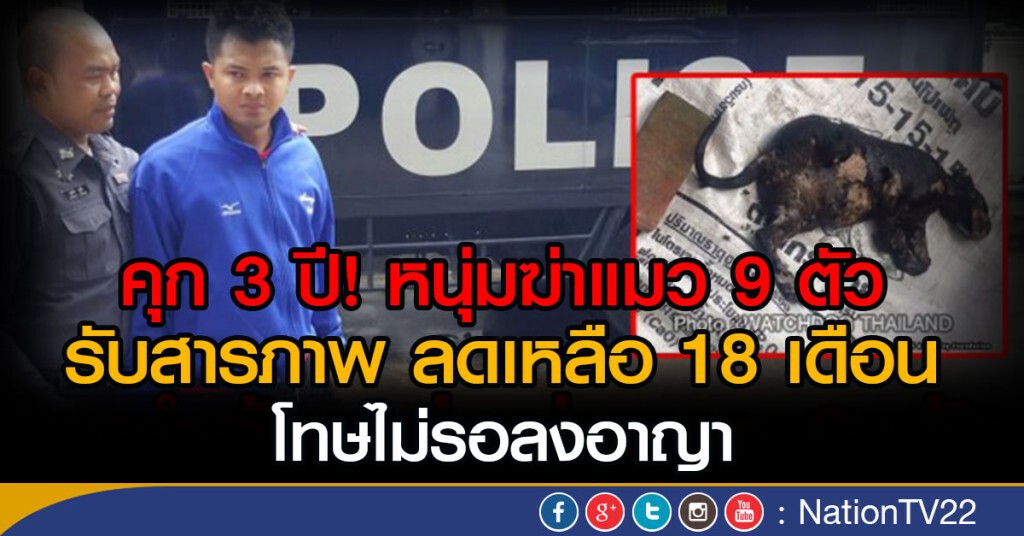 คุก 3 ปี! หนุ่มฆ่าแมว 9 ตัว
รับสารภาพ ลดเหลือ 18 เดือน โทษไม่รอลงอาญา