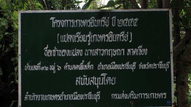 น้ำป่าเริ่มขยายวงกว้าง
เข้าท่วมบ้านสวนผลไม้ปราจีนบุรีหนัก