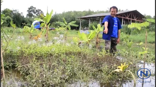 น้ำป่าเริ่มขยายวงกว้าง
เข้าท่วมบ้านสวนผลไม้ปราจีนบุรีหนัก