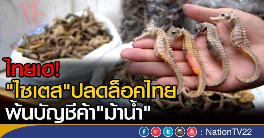 "ไซเตส" ปลดล็อคไทย พ้นบัญชีค้าม้าน้ำ "ไซเตส" ปลดล็อคไทย พ้นบัญชีค้าม้าน้ำ