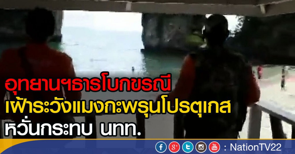 อุทยานฯธารโบกขรณี
เฝ้าระวังแมงกะพรุนโปรตุเกส
หวั่นกระทบ นทท. อุทยานฯธารโบกขรณี
เฝ้าระวังแมงกะพรุนโปรตุเกส
หวั่นกระทบ นทท.
