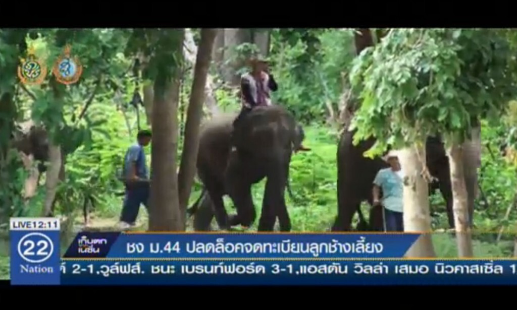 ชง ม.44 ปลดล็อก จดทะเบียนลูกช้างเลี้ยง ชง ม.44 ปลดล็อก จดทะเบียนลูกช้างเลี้ยง