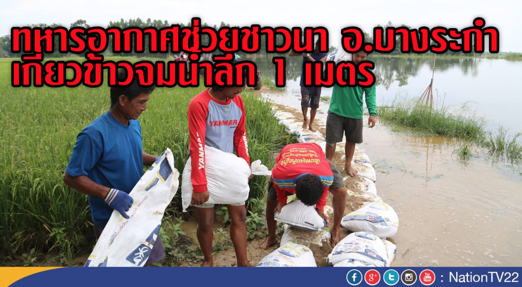 ทหารอากาศช่วยชาวนาอ.บางระกำเกี่ยวข้าวจมน้ำลึก 1 เมตร