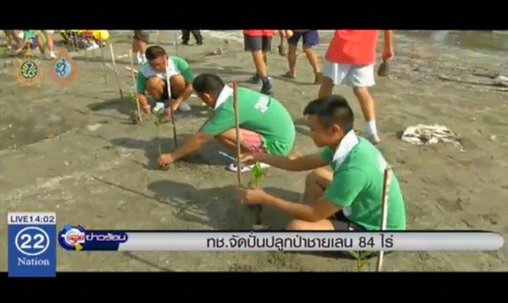 ทช.จัดปั่นปลูกป่าชายเลน 84 ไร่ ทช.จัดปั่นปลูกป่าชายเลน 84 ไร่
