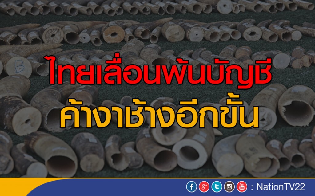ไทยเลื่อนพ้นบัญชีค้างาช้างอีกขั้น ไทยเลื่อนพ้นบัญชีค้างาช้างอีกขั้น