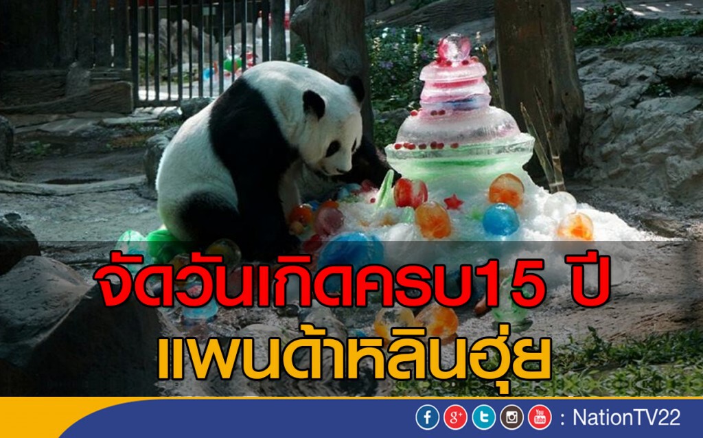 จัดวันเกิดครบ 15 ปีแพนด้าหลินฮุ่ย