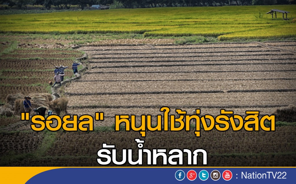 "รอยล" หนุนใช้ทุ่งรังสิต รับน้ำหลาก "รอยล" หนุนใช้ทุ่งรังสิต รับน้ำหลาก