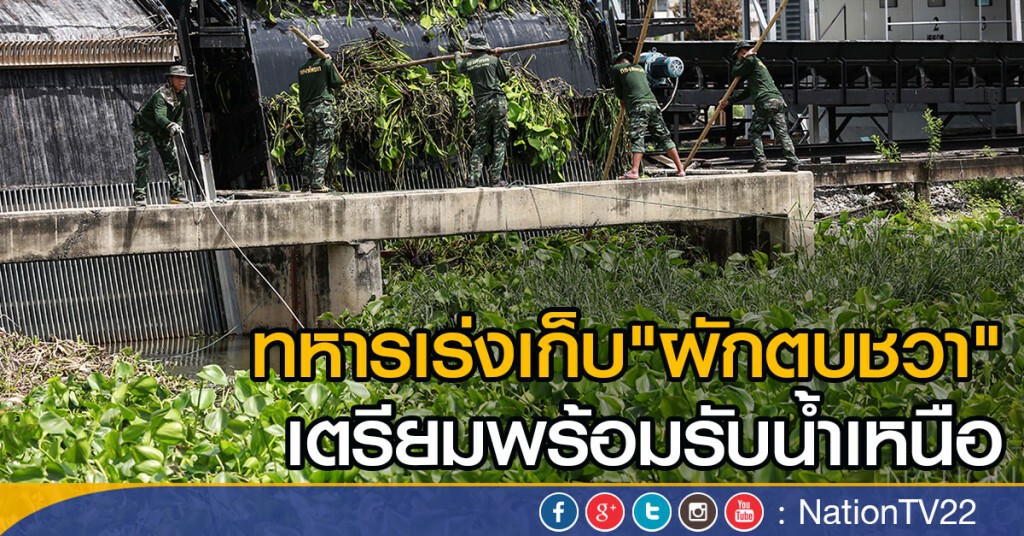 ทหาร เร่งเก็บ"ผักตบชวา"
เตรียมพร้อมรับน้ำเหนือ ทหาร เร่งเก็บ"ผักตบชวา"
เตรียมพร้อมรับน้ำเหนือ