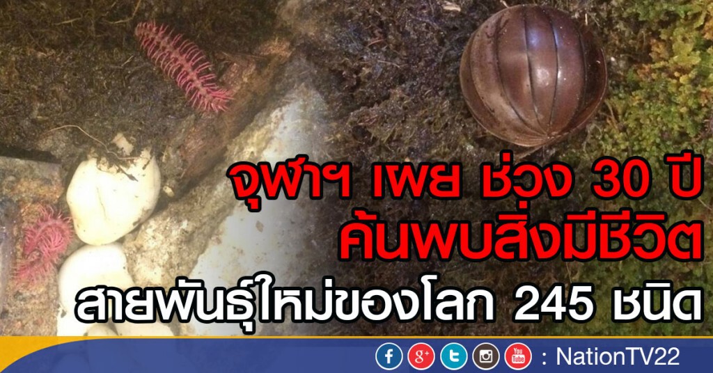 จุฬาฯ เผย ช่วง 30 ปี
ค้นพบสิ่งมีชีวิต
สายพันธุ์ใหม่ของโลก 245 ชนิด จุฬาฯ เผย ช่วง 30 ปี
ค้นพบสิ่งมีชีวิต
สายพันธุ์ใหม่ของโลก 245 ชนิด