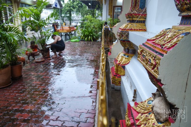 น้องเหมียวหลบฝน...