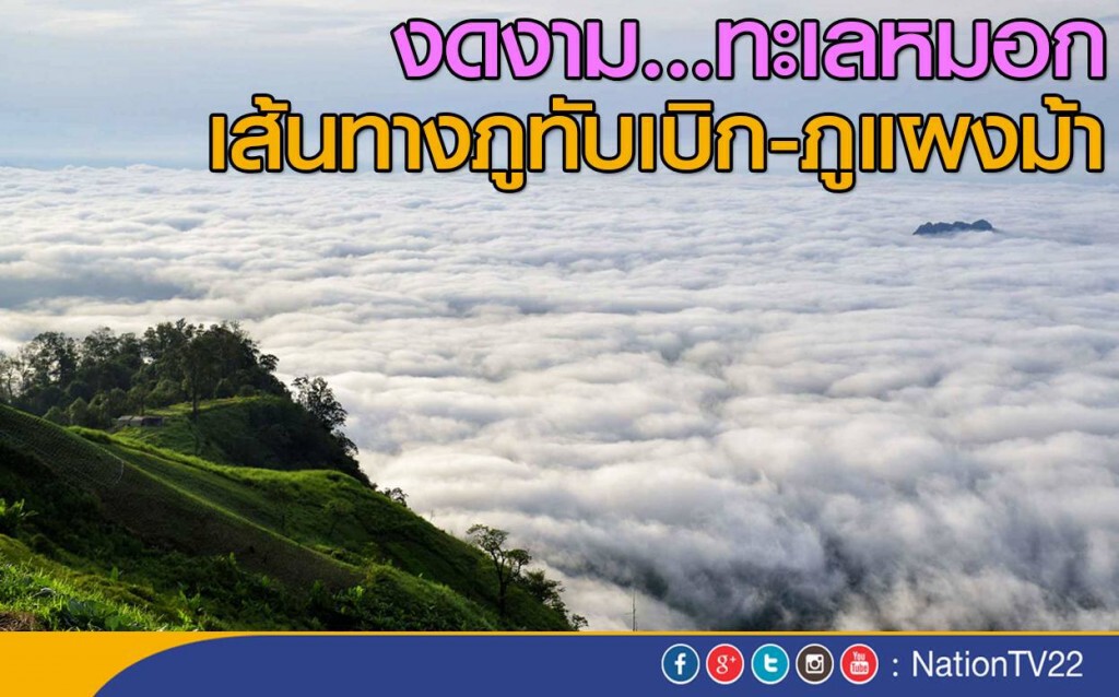 งดงาม...ทะเลหมอกเส้นทางภูทับเบิก-ภูแผงม้า อช.ภูหินร่องกล้า งดงาม...ทะเลหมอกเส้นทางภูทับเบิก-ภูแผงม้า อช.ภูหินร่องกล้า