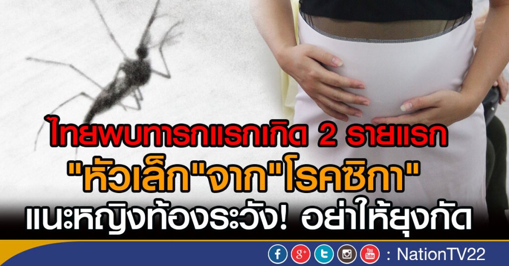 ไทยพบทารกแรกเกิด 2 รายแรก
"หัวเล็ก"จาก"โรคซิกา"
แนะหญิงท้องระวังยุงกัด ไทยพบทารกแรกเกิด 2 รายแรก
"หัวเล็ก"จาก"โรคซิกา"
แนะหญิงท้องระวังยุงกัด