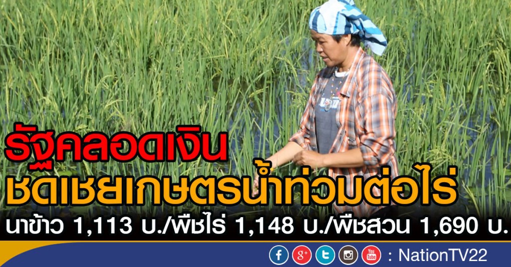 รัฐชดเชยชาวนาน้ำท่วมไร่ละ 1,113 บ.