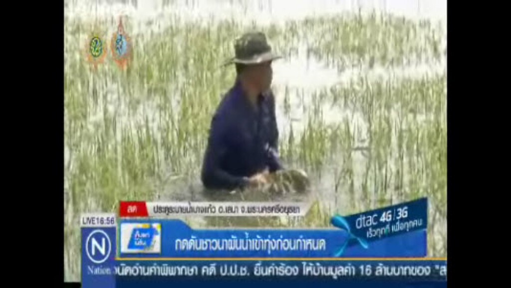 กดดันชาวนา ผันน้ำเข้าทุ่งก่อนกำหนด