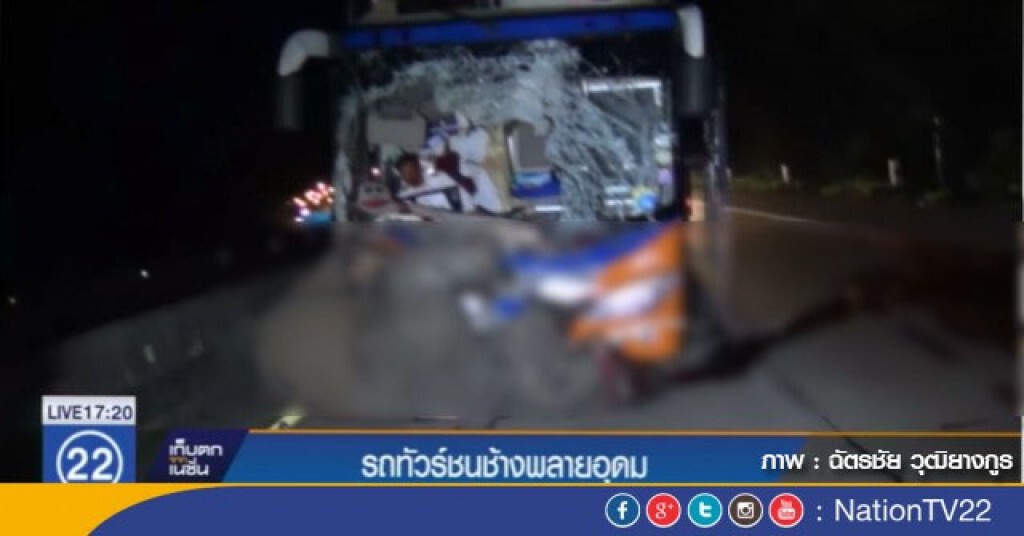สลด! ช้างมูลนิธิคืนช้างสูธรรมชาติ เดินข้ามถนน รถทัวร์ชนตาย