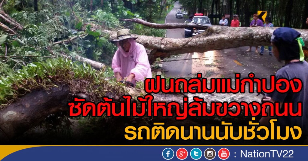 ฝนถล่มแม่กำปอง
ซัดต้นไม้ใหญ่ล้มขวางถนน
รถติดนานนับชั่วโมง