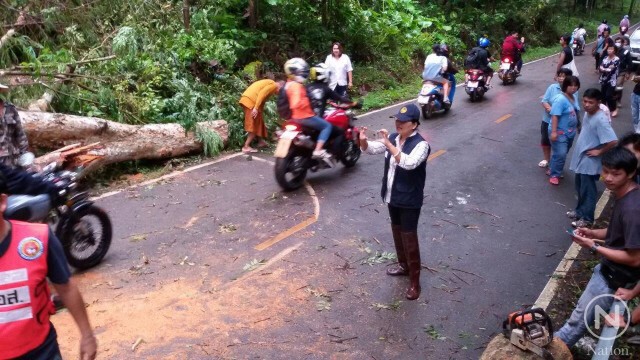 ฝนถล่มแม่กำปอง
ซัดต้นไม้ใหญ่ล้มขวางถนน
รถติดนานนับชั่วโมง