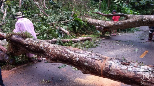 ฝนถล่มแม่กำปอง
ซัดต้นไม้ใหญ่ล้มขวางถนน
รถติดนานนับชั่วโมง