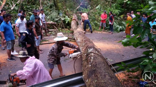 ฝนถล่มแม่กำปอง
ซัดต้นไม้ใหญ่ล้มขวางถนน
รถติดนานนับชั่วโมง