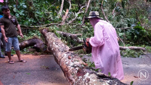 ฝนถล่มแม่กำปอง
ซัดต้นไม้ใหญ่ล้มขวางถนน
รถติดนานนับชั่วโมง