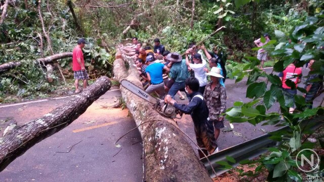ฝนถล่มแม่กำปอง
ซัดต้นไม้ใหญ่ล้มขวางถนน
รถติดนานนับชั่วโมง