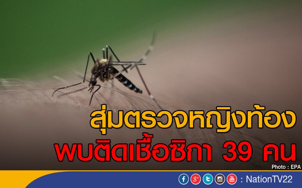สุ่มตรวจหญิงท้องพบติดเชื้อซิกา 39 คน