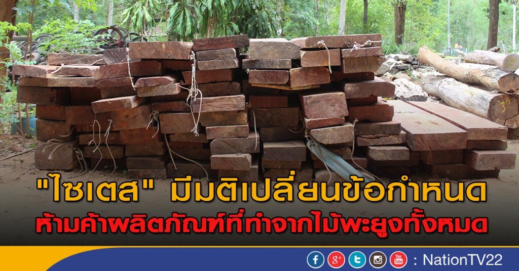 "ไซเตส" มีมติเปลี่ยนข้อกำหนด
ครอบคลุมผลิตภัณฑ์ที่ทำจากไม้พะยูงทั้งหมด