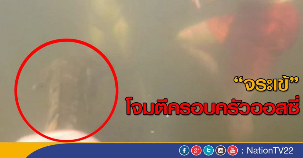 จระเข้โจมตีครอบครัวออสซี่ จระเข้โจมตีครอบครัวออสซี่