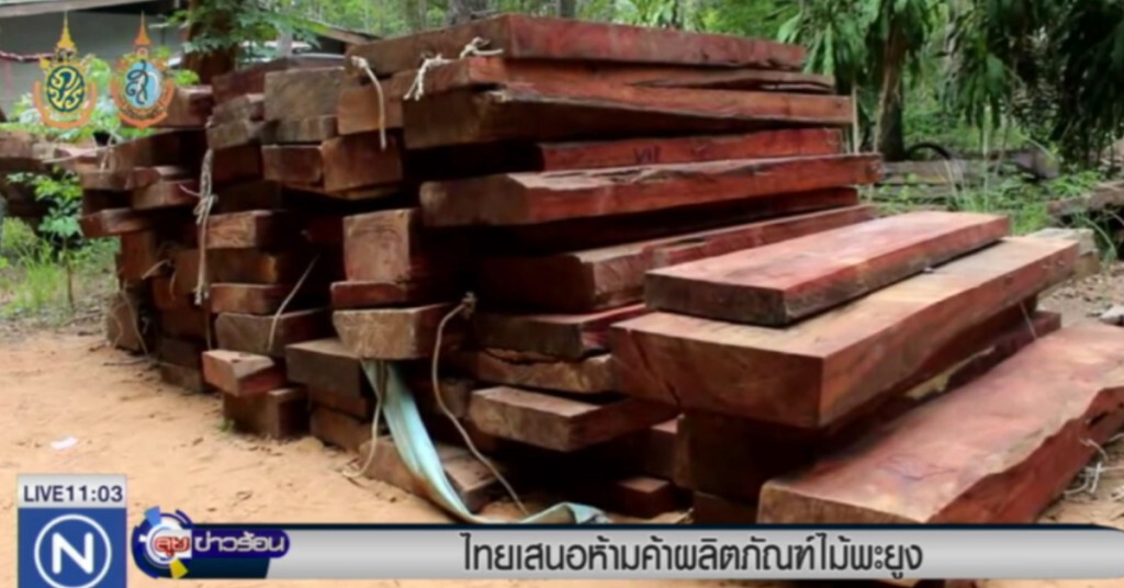 ไซเตส ห้ามขายผลิตภัณฑ์ไม้พะยูงทั้งหมด ไซเตส ห้ามขายผลิตภัณฑ์ไม้พะยูงทั้งหมด