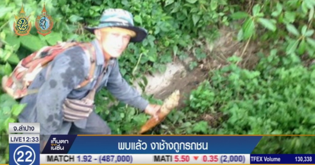 พบแล้ว "งาช้างพลายอุดม" ที่ถูกรถชน บนถนนสายลำปาง พบแล้ว "งาช้างพลายอุดม" ที่ถูกรถชน บนถนนสายลำปาง