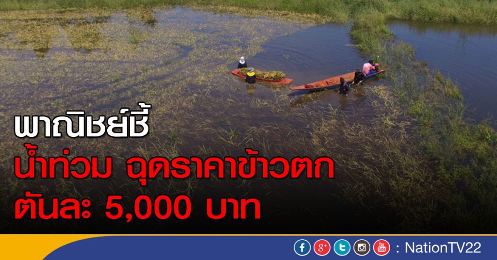 ก.พาณิชย์ ชี้น้ำท่วมฉุดราคาข้าวตกตันละ 5,000 บาท ก.พาณิชย์ ชี้น้ำท่วมฉุดราคาข้าวตกตันละ 5,000 บาท