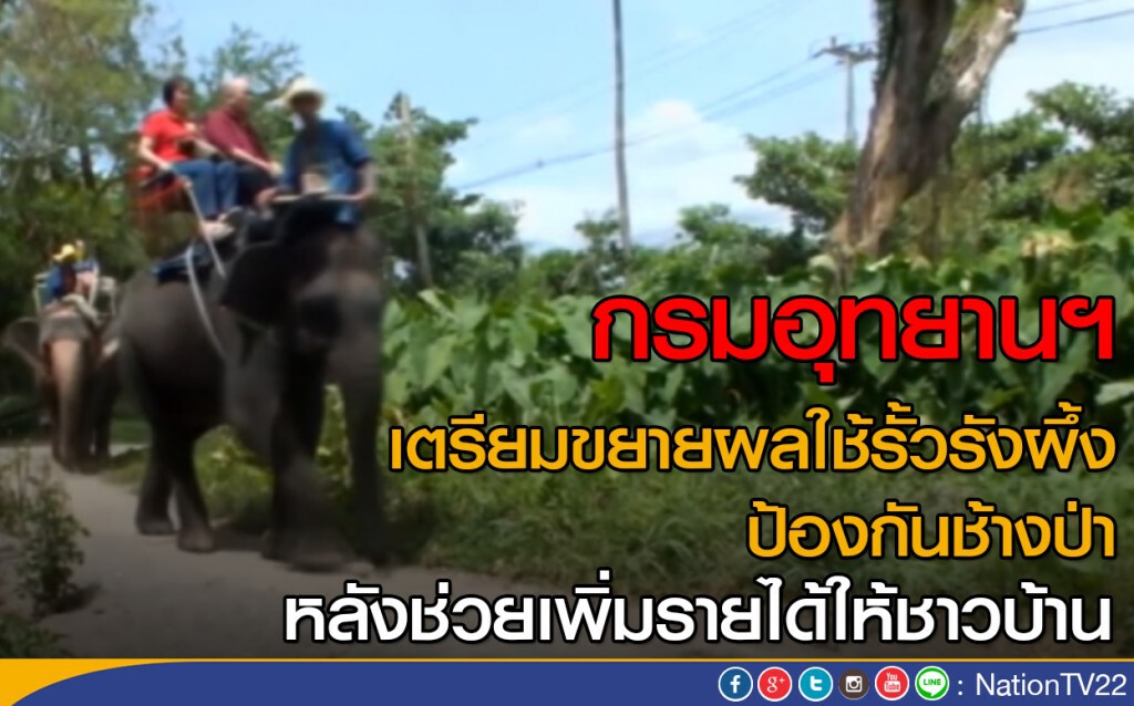 เตรียมขยายผลใช้รั้วรังผึ้งป้องกันช้างป่า เตรียมขยายผลใช้รั้วรังผึ้งป้องกันช้างป่า