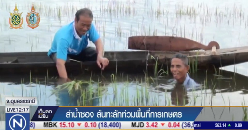 ลำน้ำซอง ทะลักเข้าพื้นที่เกษตร เสียหายกว่า 200 ไร่ ลำน้ำซอง ทะลักเข้าพื้นที่เกษตร เสียหายกว่า 200 ไร่