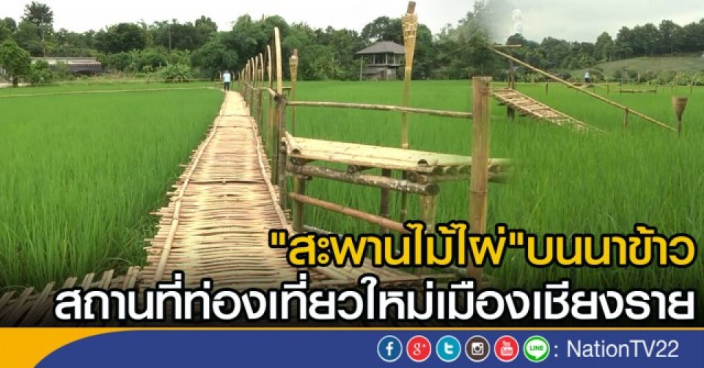เปิดแหล่งท่องเที่ยวใหม่ สะพานไม้ไผ่ทอดยาว ในเชียงราย เปิดแหล่งท่องเที่ยวใหม่ สะพานไม้ไผ่ทอดยาว ในเชียงราย