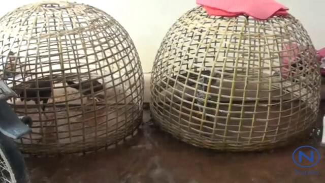 ฝนถล่ม"ชัยภูมิ"ท่วมระลอก3
เทศบาลเร่งระบายน้ำ