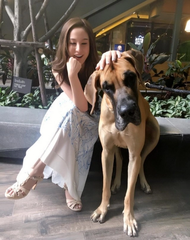 ครอบครัวอลเวงของ "ขวัญ อุษามณี"