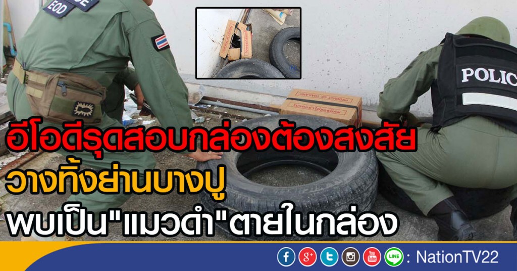 อีโอดีรุดสอบกล่องต้องสงสัย
วางทิ้งย่านบางปู
พบเป็น"แมวดำ"ตายในกล่อง