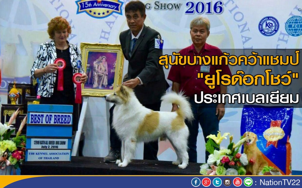 สุนัขบางแก้วคว้าแชมป์ "ยูโรด๊อกโชว์" ประเทศเบลเยียม