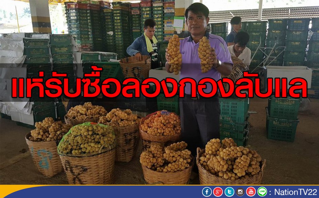 แห่รับซื้อลองกองลับแลขายส่งออก