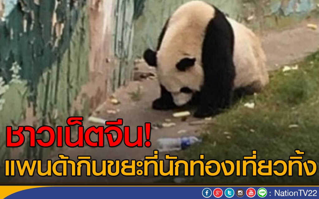 ชาวเน็ตเดือด แพนด้ากินขยะ ชาวเน็ตเดือด แพนด้ากินขยะ