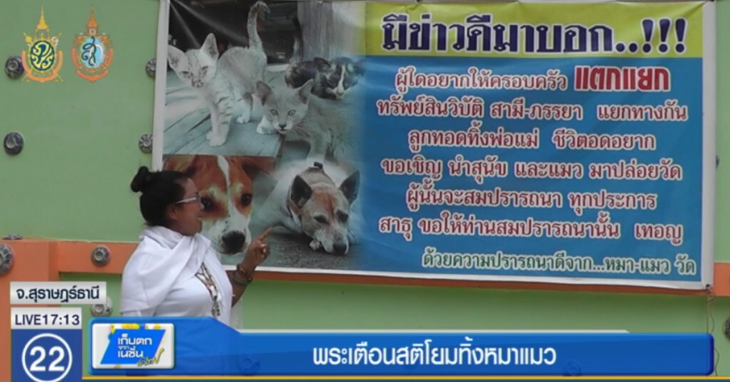 พระขึ้นป้ายเตือนสติญาติโยมนำสุนัขแมวปล่อยวัด พระขึ้นป้ายเตือนสติญาติโยมนำสุนัขแมวปล่อยวัด