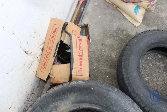 อีโอดีรุดสอบกล่องต้องสงสัย
วางทิ้งย่านบางปู
พบเป็น"แมวดำ"ตายในกล่อง