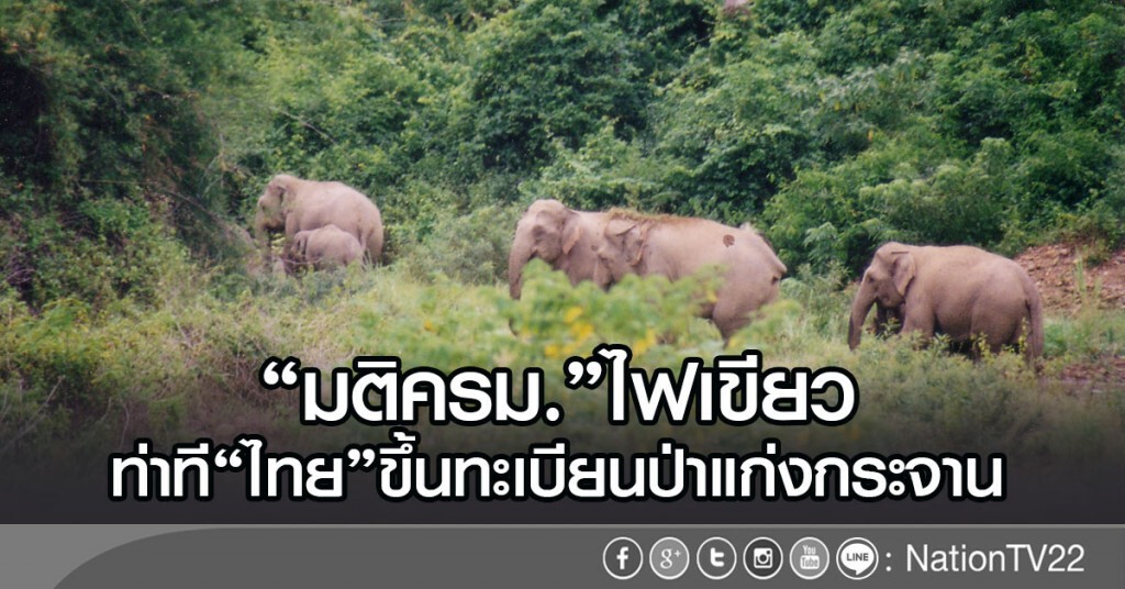 "มติครม."ไฟเขียว
ท่าที"ไทย"ขึ้นทะเบียนป่าแก่งกระจาน